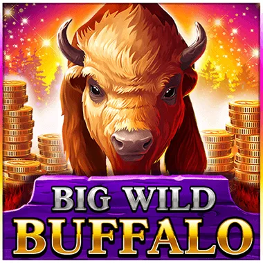 Casino Rocket game